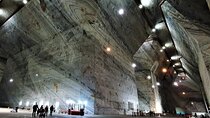 Largest Salt Mine in Europe and Peles Castle Private Tour 