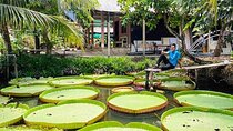 Mekong Delta 3 Day 2 Nights My Tho-Ben Tre, Can Tho, Chau Doc