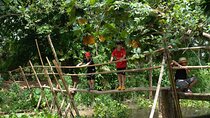 3 Day Mekong Delta Guided Tour with Accommodation
