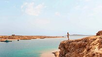 Half-Day Bus Tour to Ras Mohamed , Magic Lake in Sharm El Sheikh