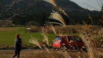 Private Tour of Jeju Island by Car