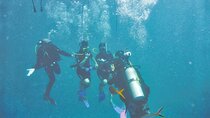 PADI Open Water Diving Course and Pickup Service– Sharm El Sheikh