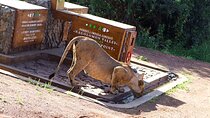 Nairobi National Park Private Safari in a 4X4 Landcruiser Jeep