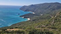 Lisbon Wine Tour: Azeitao, Setubal and Arrabida and Hotel Pickup