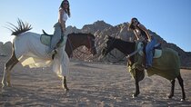 Experience Two Hours Horseback Riding In the Desert - Marsa Alam