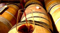 My Tuscan Farm - Three Experiences in One Day 