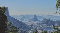 Small-Group Tijuca Forest Guided Tour