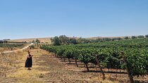 Lisbon to Evora: Cork Factory Visit and Wine Tour + hotel pick-up