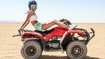 Super Safari, Quad ATV, Dinner, Show and Camel - Sharm El Sheikh