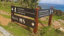 Full Day Cape Peninsula tour from Cape Town