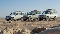 Super Safari by Quad, Jeep, Camel, Dinner & Village - Marsa Alam