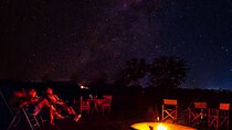 Bush by Night 4x4 Drive and Guided Stargazing Experience