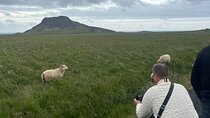 Reykjanes Peninsula Private Tour