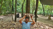 Cu Chi Tunnels Morning or Afternoon Half-day Tour 