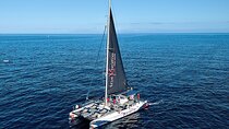 3-hour Whale and Dolphin Watching and Listening Tour 