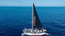 Whale Watching and Listening Eco Catamaran Tour with Food Tasting 