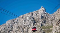 Table Mountain and Penguins Private Day Tour