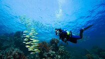 Explore Further PADI Advanced Diving Course - Marsa Alam