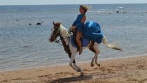 Horse Ride 1 Hour Nabq Bay Beach with Transfer - Sharm El Sheikh