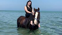 Horse Riding in Nabq Bay beach With Transfer - Sharm El Sheikh