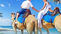 Agadir Camel Ride with BBQ and Couscous