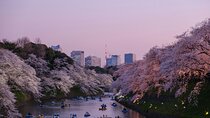 Private Tokyo City Tour With English Speaking Driver 