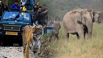 2 - Days: Jim Corbett jungle safari tour from Bangalore by Flight