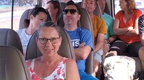 Private Airport Transfers To and From Kingston (KIN) Airport