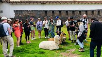 Historical Walking tour of Cusco Fluent English/Spanish guides