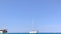 Horizon day sailing tour of Palma Bay