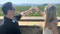 Private Douro Valley, 2 wine tastings, boat tour in a Luxury car