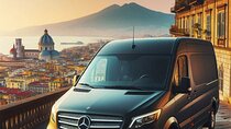 Mt. Vesuvius, Pompeii & Sorrento day-trip in 8 hours (privately)