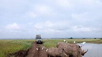 National Park Half-Day Group Tour in Nairobi with Pickup