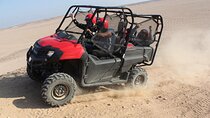 3 Hours Buggy Desert Safari Sunrise or Sunset - Sharm El Sheikh