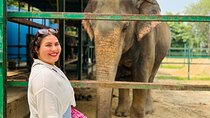 4-Day Golden Triangle Tour with Elephant SOS and Tiger Safari