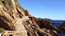 Private Provence Getaway and Wine Tasting from Toulon cruise port