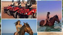 Horse Riding Adventure & ATV Quad Safari – Sharm El Sheikh