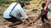 Explore Aburi Botanical Gardens And Boti Falls