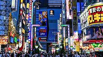 Tokyo City Tour in Shinjuku with Licensed Guide