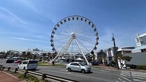 3-Day Guided Small Group Tour to Cape Town Top Attractions