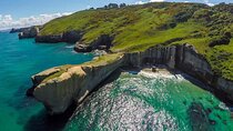 Catlins Cruiser Private Tour from Dunedin Cruise Port