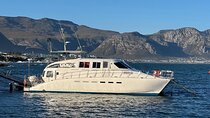 Full Day Small Group Whale Watching and Wine Tasting Experience