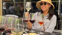 Arrabida, Setubal, Sesimbra, Olive on private Tour