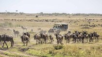 4 Day Safari Maasai Mara, Lake Nakuru and Lake Naivasha