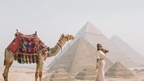 Private trip Giza pyramids, sphinx ,Sakkara Step ,Memphis ,Camel ride & Lunch