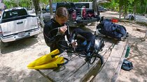 Cenote Dos Ojos Guided Scuba Diving