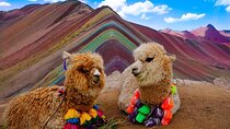 Rainbow Mountain in One Day from Cusco
