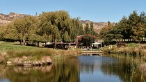 Private Central Otago Wine Tour-Cloudy Bay Shed Lunch & Amisfield