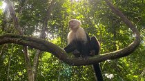 Crocodiles and Monkeys Tour to the Coast