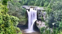 6 Hour Private Tour in Ubud